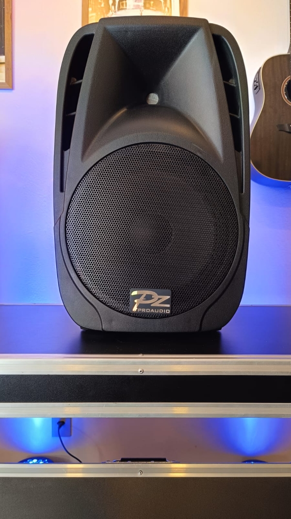 PZ Pro Audio PX-12 Caixa Acústica Passiva 12” – 300W Pico / 150W RMS - Imagem 11