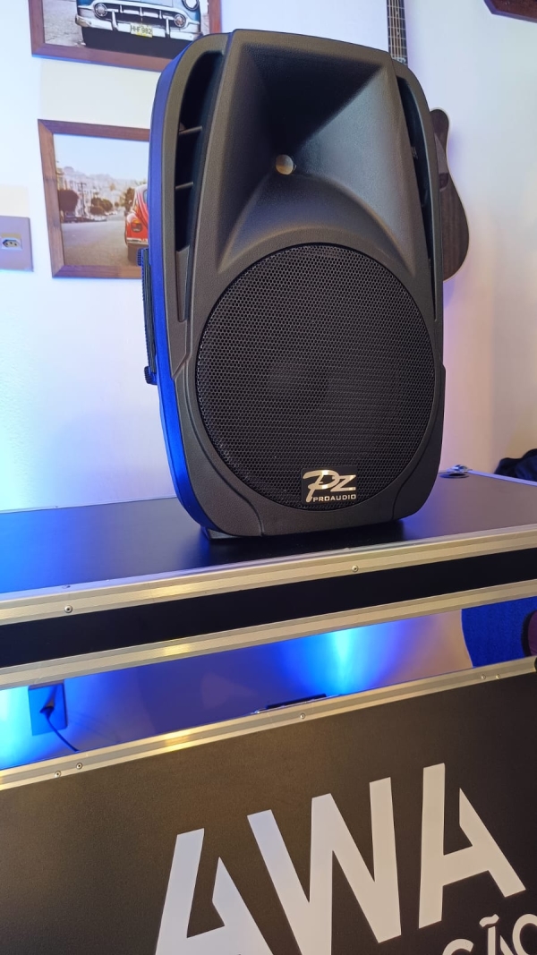 PZ Pro Audio PX-12 Caixa Acústica Passiva 12” – 300W Pico / 150W RMS - Imagem 9
