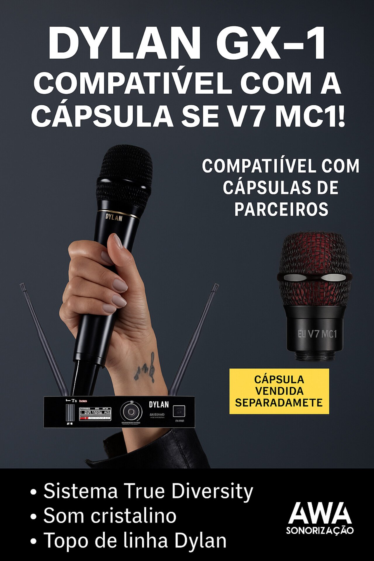 Microfone Sem Fio Dylan Profissional GX-1 com Duas Cápsulas Inclusas - True Diversity - Imagem 2